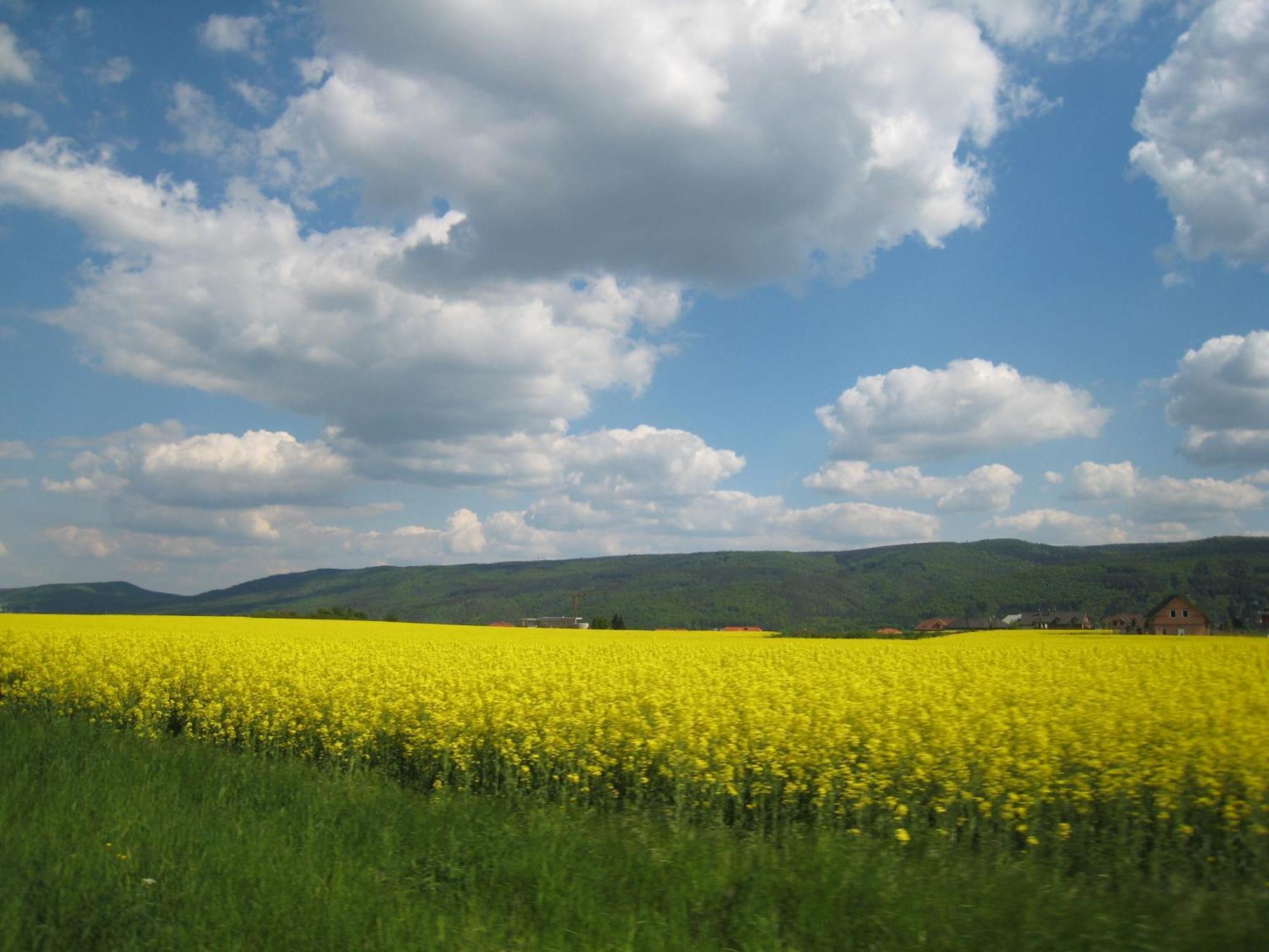 Penzion Speller Vysoký Újezd Esterno foto