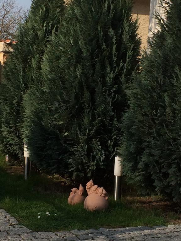Penzion Speller Vysoký Újezd Esterno foto